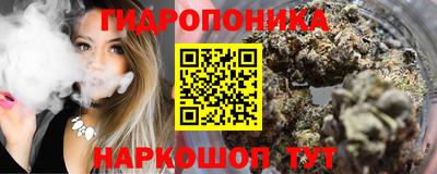 индика Краснознаменск