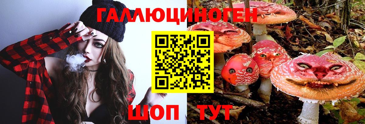 купить наркоту  Вход с VPN  Камень-на-Оби  Галлюциногенные грибы Cubensis 