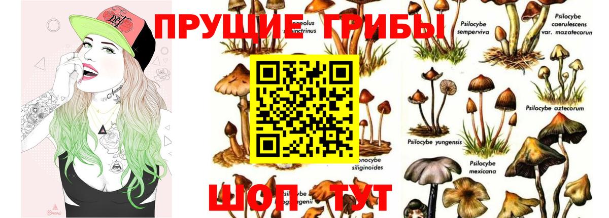 Галлюциногенные грибы Magic Shrooms Камень-на-Оби